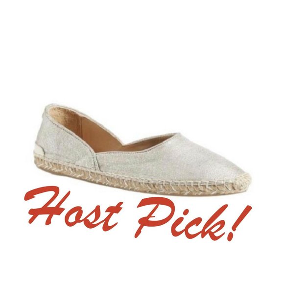 rag & bone Shoes - RAG & BONE Flats Espadrille Silver Shimmer Leather Slip on Shoe NEW NWOB 🎉HP🎉